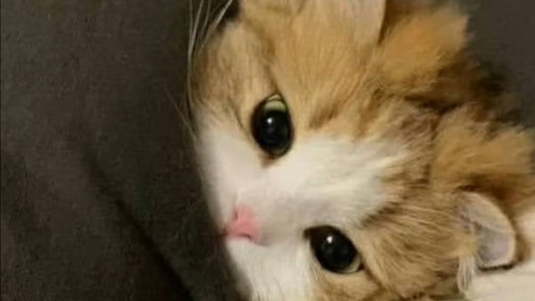 Вторая часть💝
