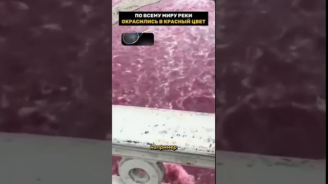 Почему реки и моря окрашиваются в красный цвет