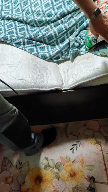 Попрыгунья