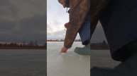 рыбалка зимой