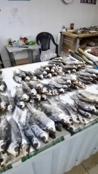 рыбный магазин в Ростовской обл
