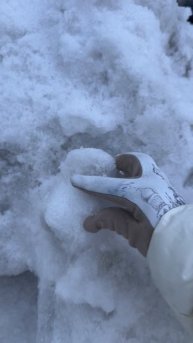 А на Ямале в середине мая - снег.