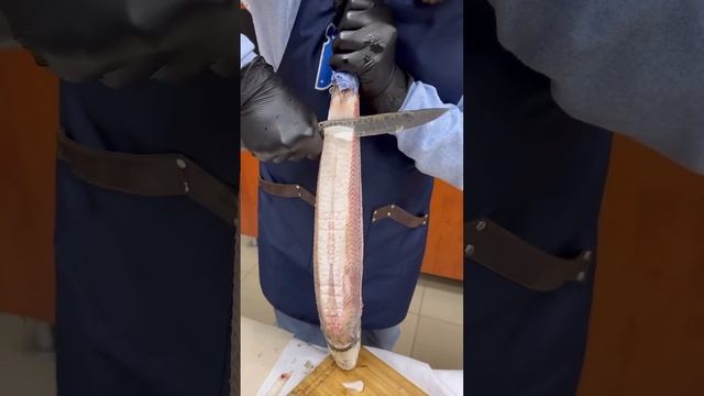 Чир подледный🐟 Якутия🇷🇺 #азбукасевера #чир #строга?