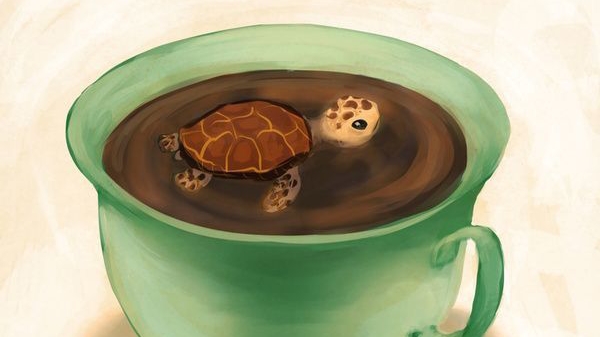 рисунки черепахи 💯✨😊🤩👍