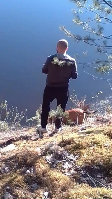 АМСТАФФ ИРМА 10 МЕСЯЦЕВ #амстафф #собака #стафф#fishing #рыб