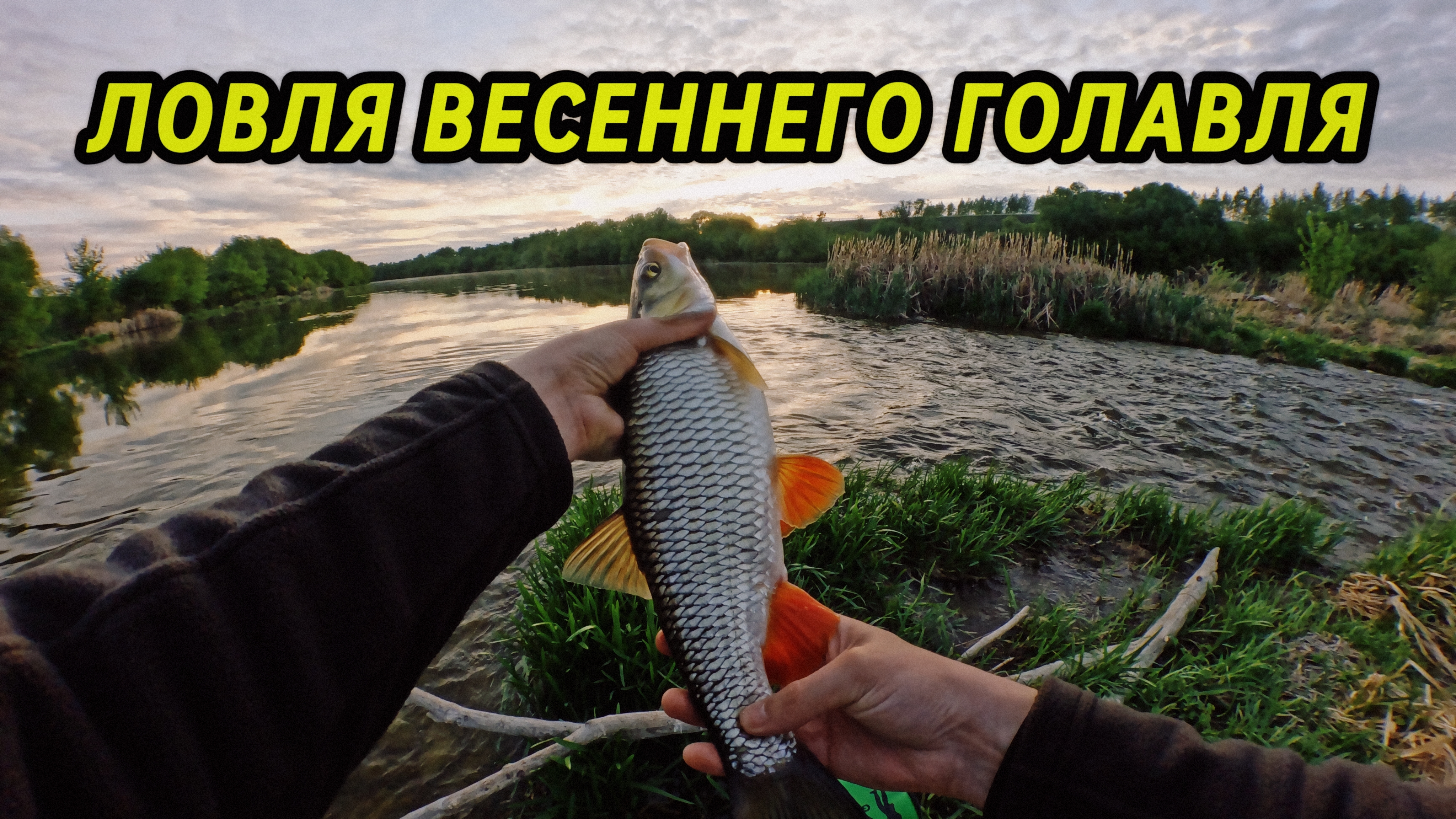 Голавль дуреет от этой проводки! Рыбалка на спиннинг на малых реках