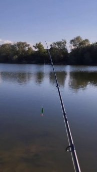 #рыбалка #рыбалканапруду #спиннинг #fishing #fish #щука #рыба?