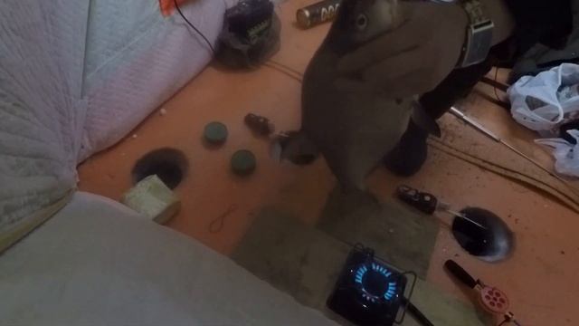 Рыбалка с ночевой Волчиха Лещ.