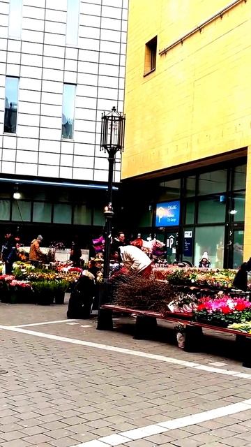 Моменты, которые не покажет телевизор