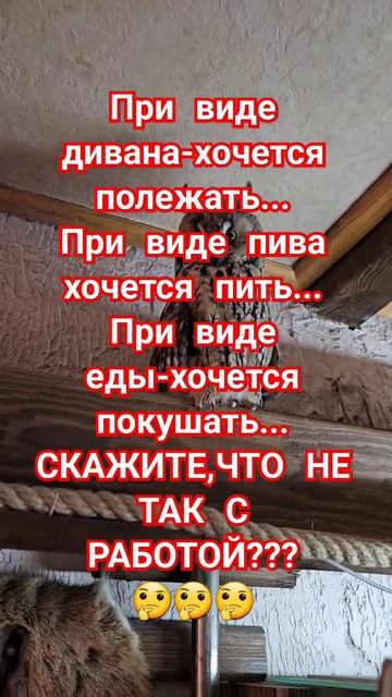 Работа #юмор