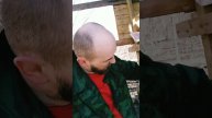 Кормушка из внутри, свили гнездо. #Большаяземля!