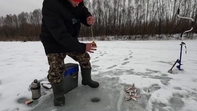РЫБАЛКА НА РЕКЕ СУРА В ЯНВАРЕ 2025. КЛЮЕТ РАЗНАЯ РЫБА. РЫ?