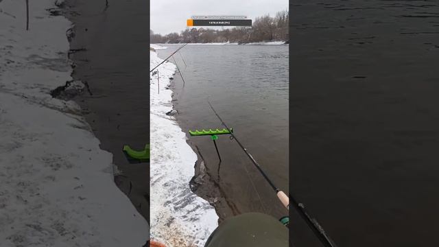 Прямая трансляция Правильная  рыбалка🐟 #рыбалка #пря?