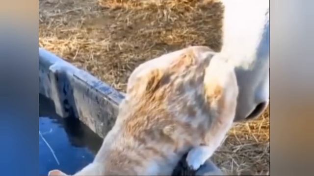 Не пей из чужой чашки 🤣