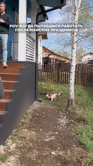 Когда пытаешься работать после майских праздников