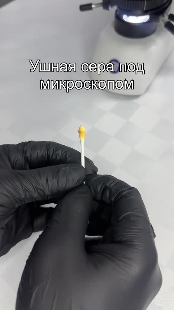 #интересно #микромир #подмикроскопом #микроскоп #наука