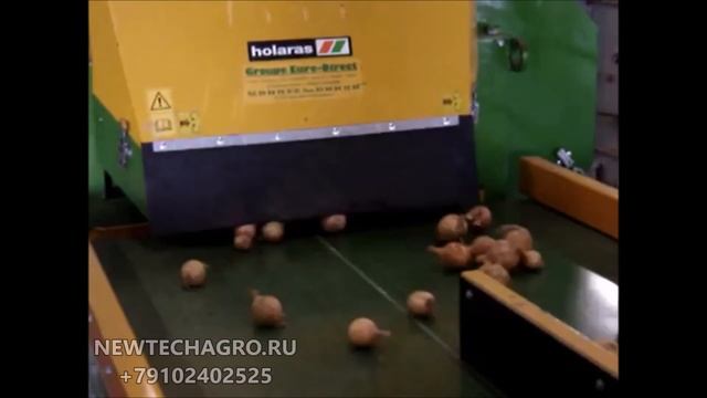 Holaras VS AS 15 обрезчик лука