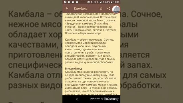 Камбала