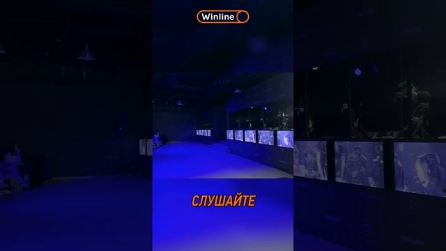 🐻СЕНСАЦИЯ В КИБЕРСПОРТЕ - КАК VP ШОКИРОВАЛИ ВСЕХ?  #esports
