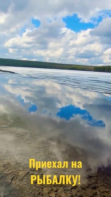 РЫБАЛКА 29 мая 2023 г.
