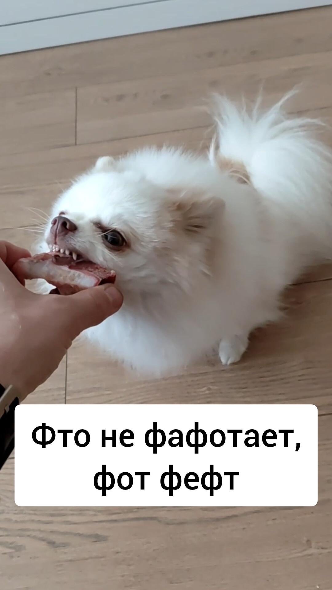 Кто не работает, тот ест