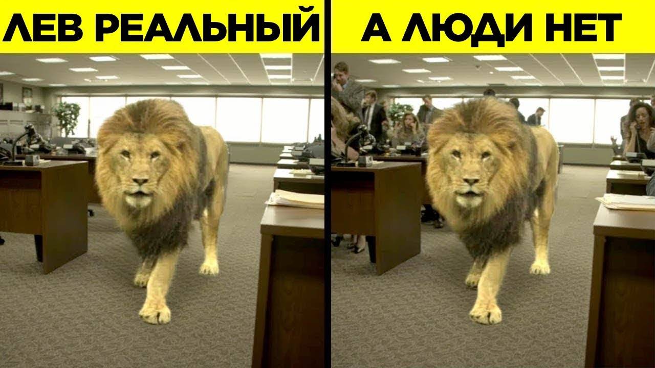 ВТФАК УБЕДИТЕЛЬНАЯ ГРАФИКА, КОТОРУЮ ВЫ ПРИНЯЛИ ЗА РЕАЛЬНЫЕ СЦЕНЫ