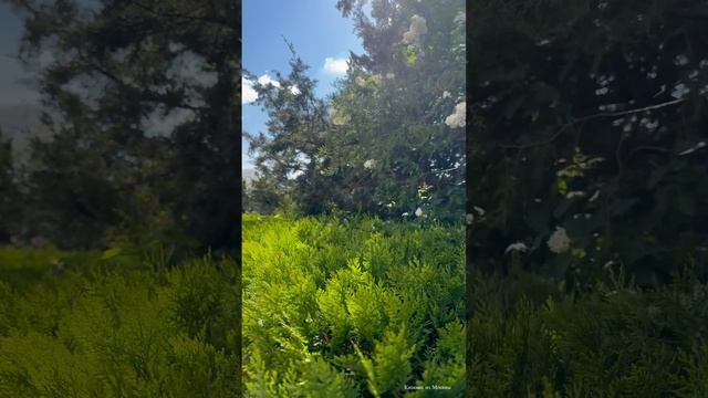 Обзор территории санатория Мечта, Крым, Евпатория.