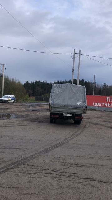 Газель