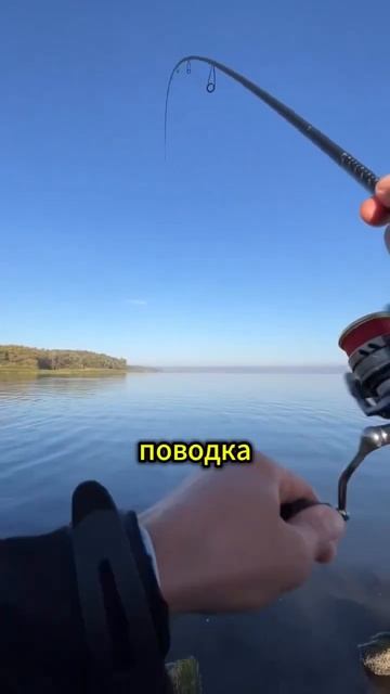Почему не клюёт окунь? Рассказываю секрет! #рыбалка #ок