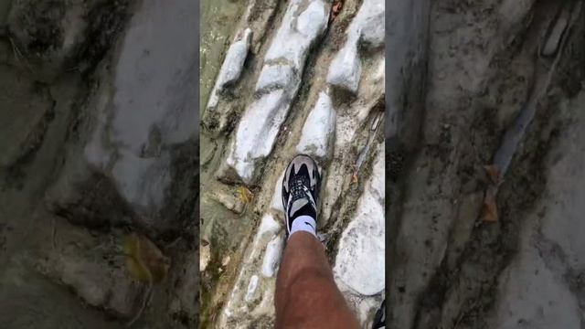 Поход к Плесецким водопадам с пушистым другом