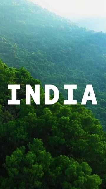 А куда хотели бы Вы?