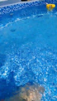 Сейчас его выпью!!#лето #жара #бассейн #вода