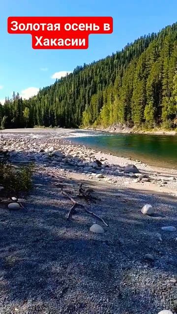 Осень в Хакасии! #youtubeshorts #fishing #рыбалка #река #безбашенн