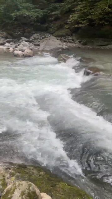 Ловля форели в ущельях гор, Река Фортанга