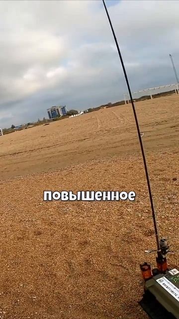Сарган. Как ловить саргана? Зелёные кости у саргана #shor