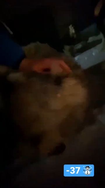 -37 в Хабаровске ❄️☃️❄️