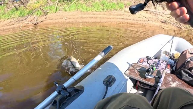 Спиннинг 21 августа 2024 года , Вах