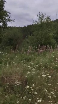 топаем к дальнему берегу. сегодня будет рыбалка