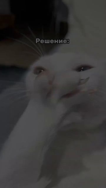 Решение есть всегда 😆