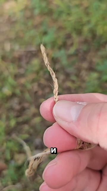 Самодельная удочка из веток!