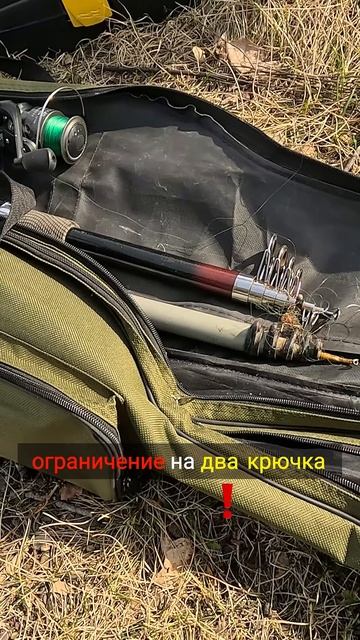 Продолжаем эту хрень! #russia #рыбалка #рыба #рыбак #рукожо