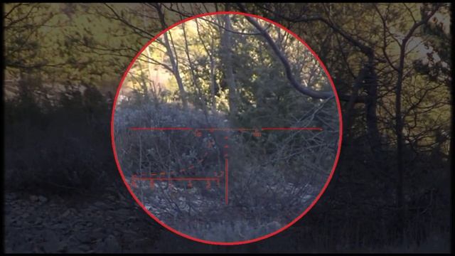 VSS Vintorez N4 \ Страйкбол. ВСС Винторез LCT