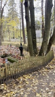 Земля Сказочника Гофмана