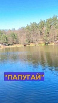 Воблери TRIDENT -повний асортимент на нашому сайті monsterfish.