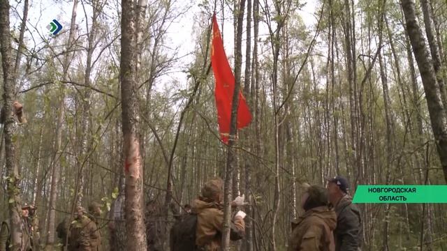Поисковый отряд «Хранители» во время «Вахты памяти» в Новгородской области поднял останки 37 бойцов