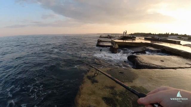 Ставрида на самодур с берега #fishing #рыбалка самодур на ?
