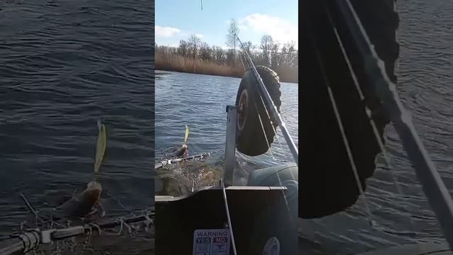Смешная рыбалка)