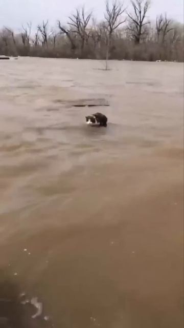 «Держись, братан!»Оренбургская область. Мужчины спаса