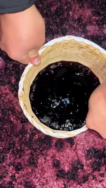 Grape fermentation #shorts