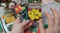 Какие сорта семян сажать в огороде часть (2)